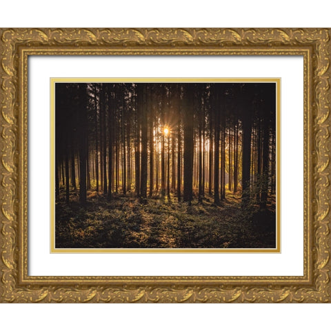 Trees 63 Gold Ornate Wood Framed Art Print with Double Matting by Lee, Rachel