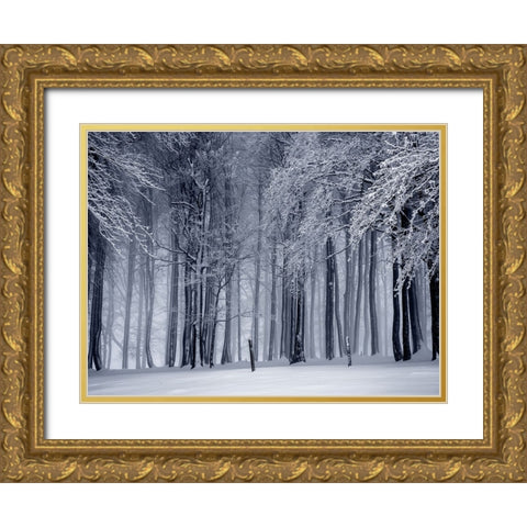 Trees 65 Gold Ornate Wood Framed Art Print with Double Matting by Lee, Rachel