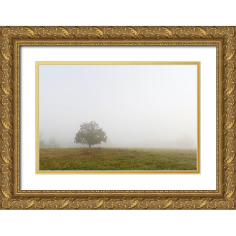 Trees 8 Gold Ornate Wood Framed Art Print with Double Matting by Lee, Rachel
