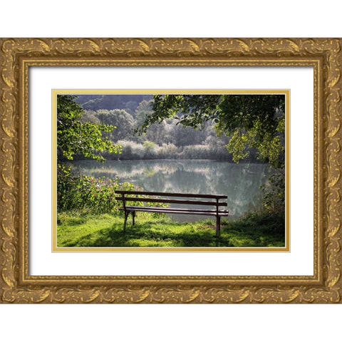 Trees And Water 3 Gold Ornate Wood Framed Art Print with Double Matting by Lee, Rachel