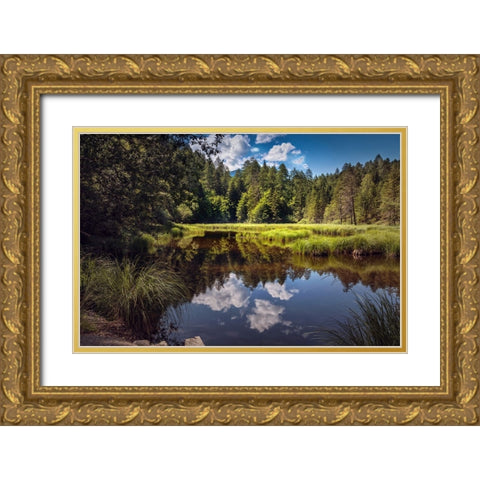 Trees And Water 8 Gold Ornate Wood Framed Art Print with Double Matting by Lee, Rachel