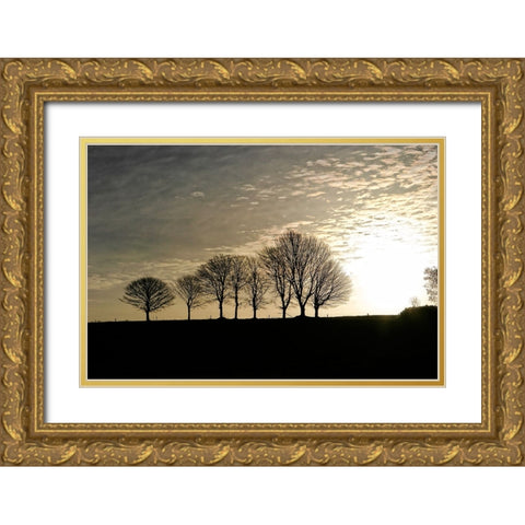 Trees Evening Gold Ornate Wood Framed Art Print with Double Matting by Lee, Rachel