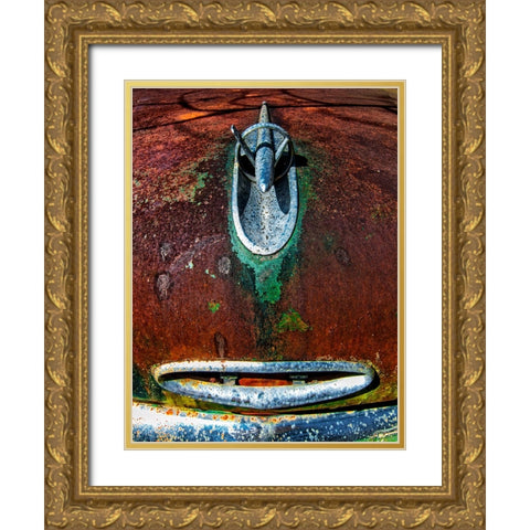 V Rocket Gold Ornate Wood Framed Art Print with Double Matting by Lee, Rachel