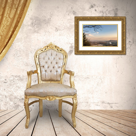 View From Signal Gold Ornate Wood Framed Art Print with Double Matting by Lee, Rachel