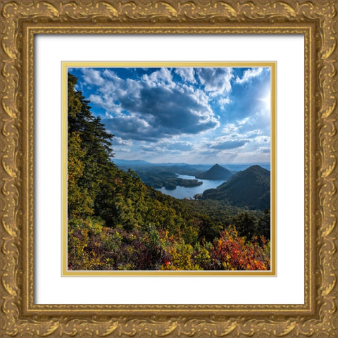 View to Big Frog Gold Ornate Wood Framed Art Print with Double Matting by Lee, Rachel