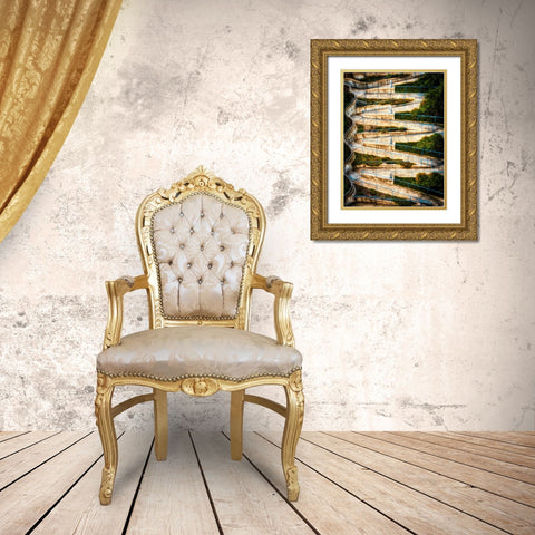 Walk My Way Saturation Vignette Gold Ornate Wood Framed Art Print with Double Matting by Lee, Rachel