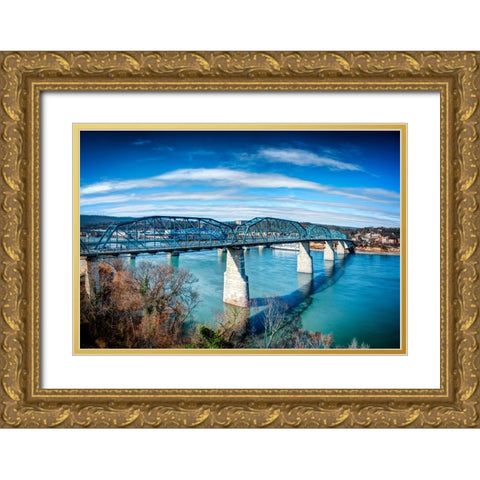 Walnut From Hunter Deck Gold Ornate Wood Framed Art Print with Double Matting by Lee, Rachel