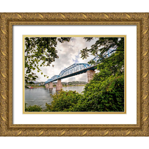 Walnut From South Gold Ornate Wood Framed Art Print with Double Matting by Lee, Rachel