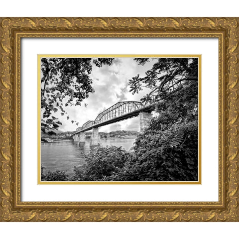 Walnut From South BW Gold Ornate Wood Framed Art Print with Double Matting by Lee, Rachel
