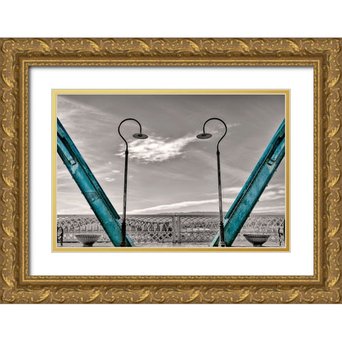 Walnut Love Mask Blue Rail Gold Ornate Wood Framed Art Print with Double Matting by Lee, Rachel