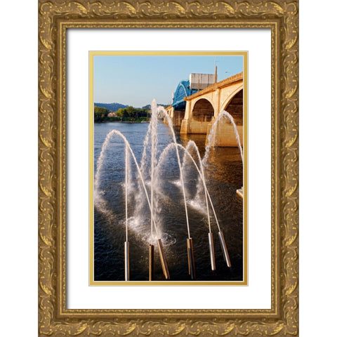 Water Cannons Gold Ornate Wood Framed Art Print with Double Matting by Lee, Rachel