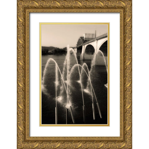 Water Cannons Sepia Gold Ornate Wood Framed Art Print with Double Matting by Lee, Rachel