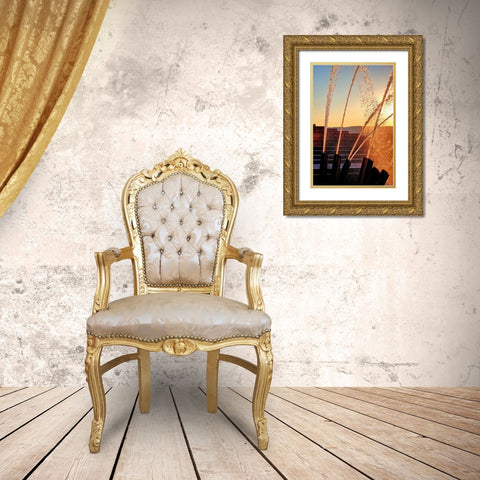 Water Cannons Sunset Gold Ornate Wood Framed Art Print with Double Matting by Lee, Rachel