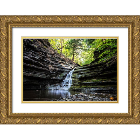 Waterfall 1 Gold Ornate Wood Framed Art Print with Double Matting by Lee, Rachel