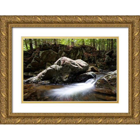 Waterfall 10 Gold Ornate Wood Framed Art Print with Double Matting by Lee, Rachel