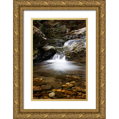 Waterfall 11 Gold Ornate Wood Framed Art Print with Double Matting by Lee, Rachel