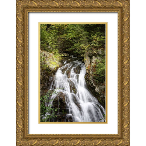 Waterfall 12 Gold Ornate Wood Framed Art Print with Double Matting by Lee, Rachel