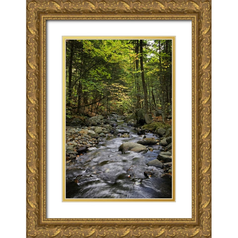 Waterfall 13 Gold Ornate Wood Framed Art Print with Double Matting by Lee, Rachel