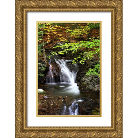Waterfall 14 Gold Ornate Wood Framed Art Print with Double Matting by Lee, Rachel