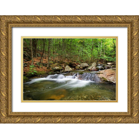 Waterfall 15 Gold Ornate Wood Framed Art Print with Double Matting by Lee, Rachel