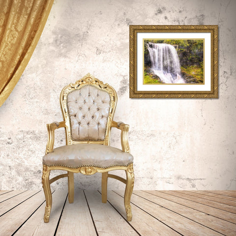 Waterfall 16 Gold Ornate Wood Framed Art Print with Double Matting by Lee, Rachel