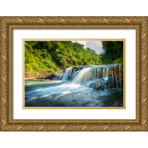 Waterfall 18 Gold Ornate Wood Framed Art Print with Double Matting by Lee, Rachel