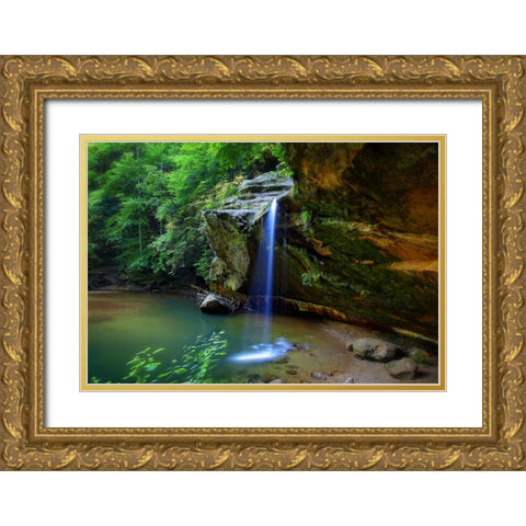 Waterfall 19 Gold Ornate Wood Framed Art Print with Double Matting by Lee, Rachel