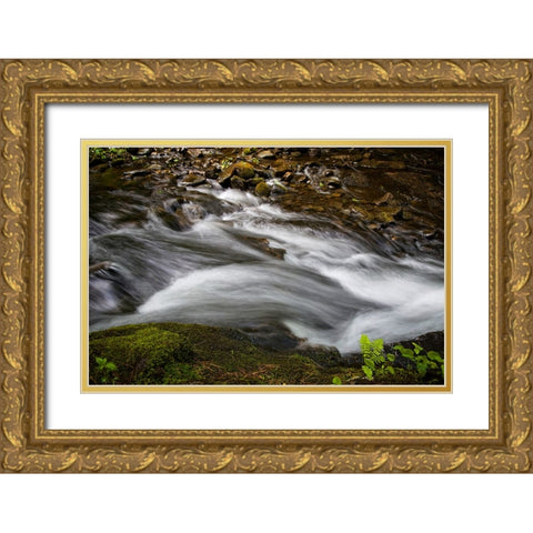 Waterfall 2 Gold Ornate Wood Framed Art Print with Double Matting by Lee, Rachel