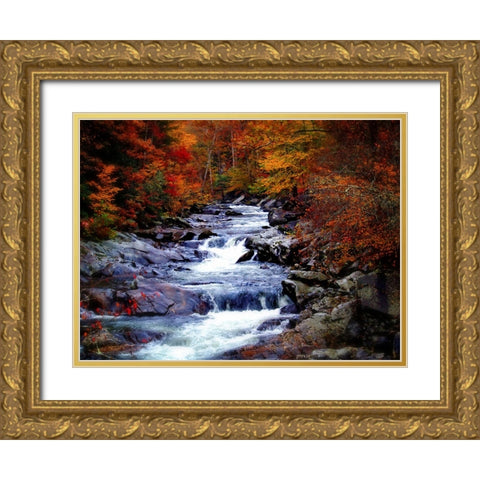 Waterfall 22 Gold Ornate Wood Framed Art Print with Double Matting by Lee, Rachel