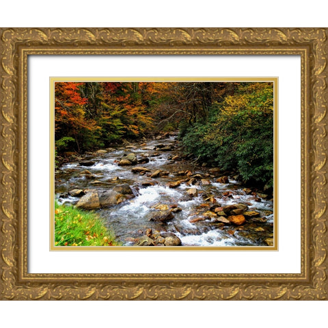 Waterfall 23 Gold Ornate Wood Framed Art Print with Double Matting by Lee, Rachel