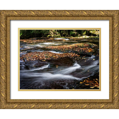 Waterfall 25 Gold Ornate Wood Framed Art Print with Double Matting by Lee, Rachel