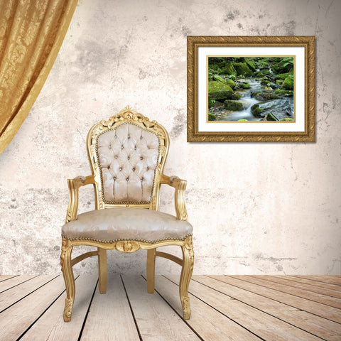 Waterfall 26 Gold Ornate Wood Framed Art Print with Double Matting by Lee, Rachel