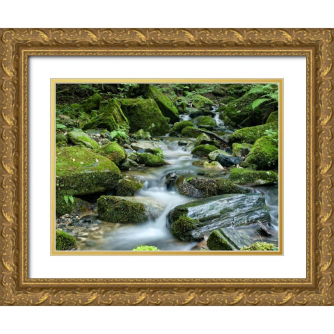 Waterfall 26 Gold Ornate Wood Framed Art Print with Double Matting by Lee, Rachel