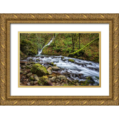 Waterfall 27 Gold Ornate Wood Framed Art Print with Double Matting by Lee, Rachel