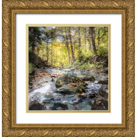 Waterfall 28 Gold Ornate Wood Framed Art Print with Double Matting by Lee, Rachel