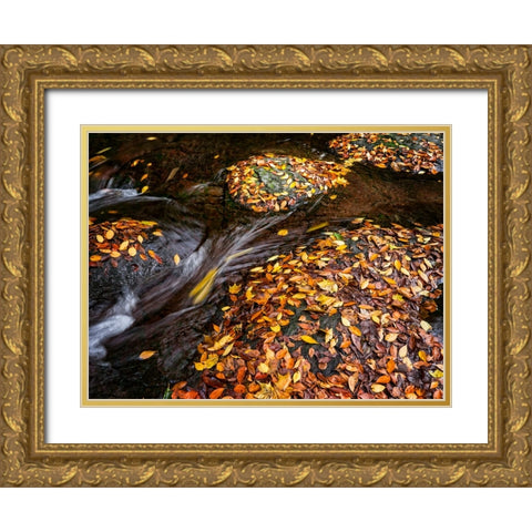 Waterfall 29 Gold Ornate Wood Framed Art Print with Double Matting by Lee, Rachel