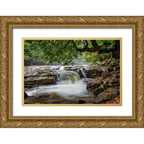 Waterfall 30 Gold Ornate Wood Framed Art Print with Double Matting by Lee, Rachel