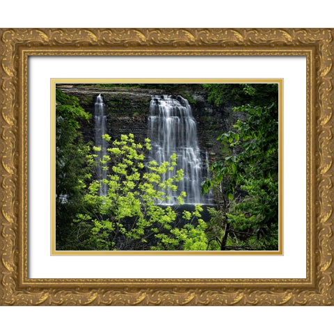 Waterfall 34 Gold Ornate Wood Framed Art Print with Double Matting by Lee, Rachel