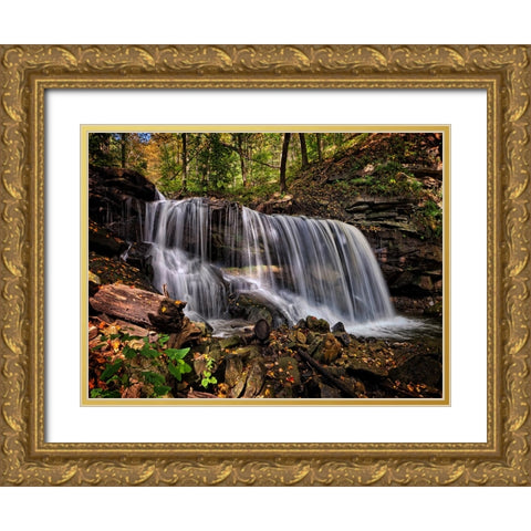 Waterfall 36 Gold Ornate Wood Framed Art Print with Double Matting by Lee, Rachel