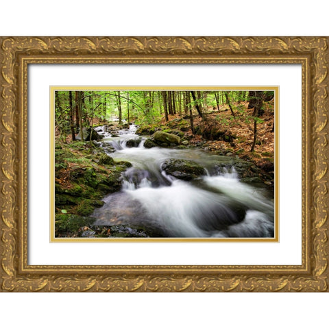 Waterfall 4 Gold Ornate Wood Framed Art Print with Double Matting by Lee, Rachel