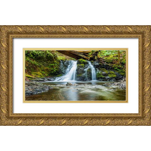 Waterfall 40 Gold Ornate Wood Framed Art Print with Double Matting by Lee, Rachel