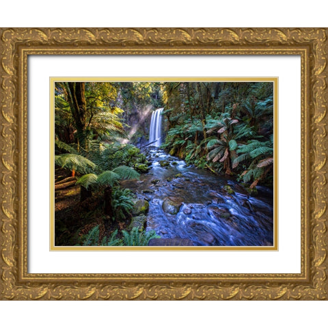 Waterfall 41 Gold Ornate Wood Framed Art Print with Double Matting by Lee, Rachel