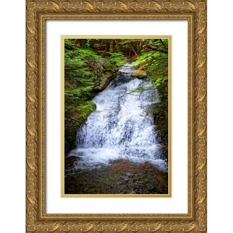 Waterfall 5 Gold Ornate Wood Framed Art Print with Double Matting by Lee, Rachel