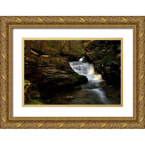 Waterfall 52 Gold Ornate Wood Framed Art Print with Double Matting by Lee, Rachel