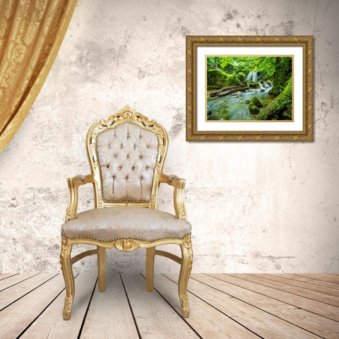 Waterfall 58 Gold Ornate Wood Framed Art Print with Double Matting by Lee, Rachel