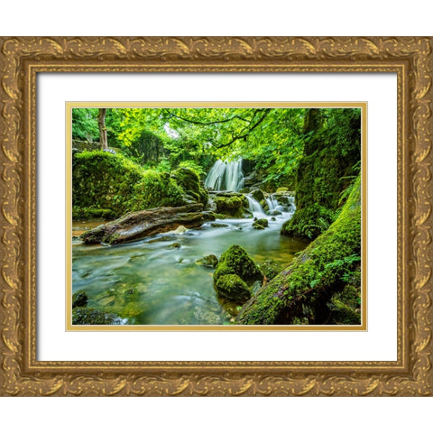 Waterfall 58 Gold Ornate Wood Framed Art Print with Double Matting by Lee, Rachel