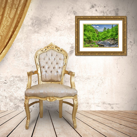 Waterfall 7 Gold Ornate Wood Framed Art Print with Double Matting by Lee, Rachel