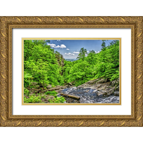Waterfall 7 Gold Ornate Wood Framed Art Print with Double Matting by Lee, Rachel