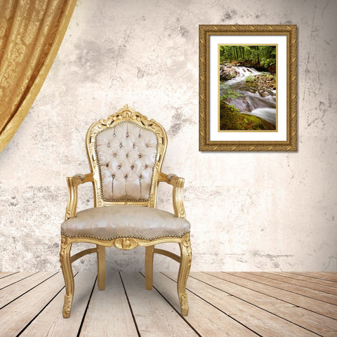 Waterfall 9 Gold Ornate Wood Framed Art Print with Double Matting by Lee, Rachel