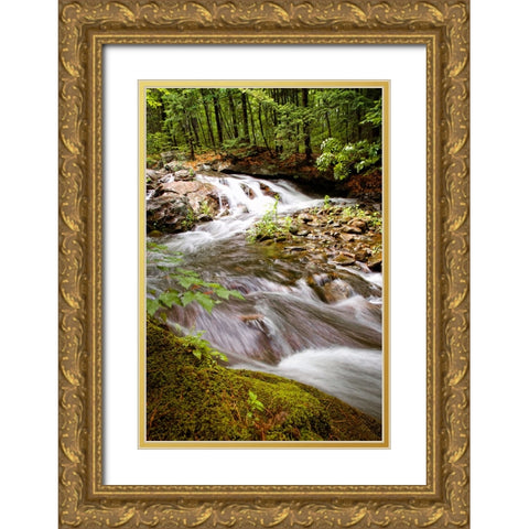 Waterfall 9 Gold Ornate Wood Framed Art Print with Double Matting by Lee, Rachel